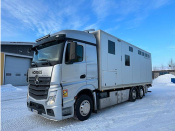 Tovornjak za prevoz živine MERCEDES-BENZ Actros