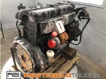 : fotografija v glavi strani