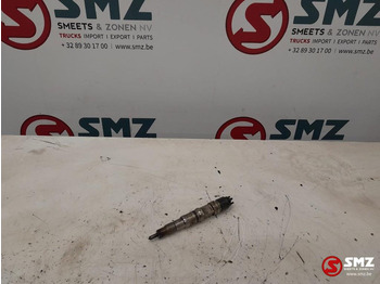 : fotografija v glavi strani